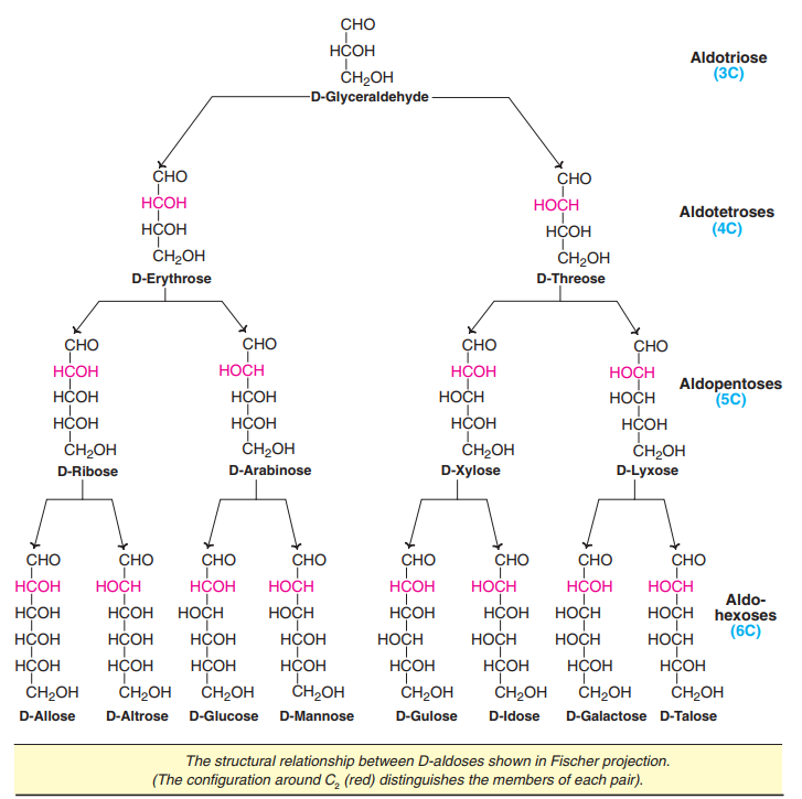 Aldoses