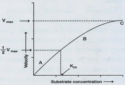Effect of substrate concentration on enzyme activity