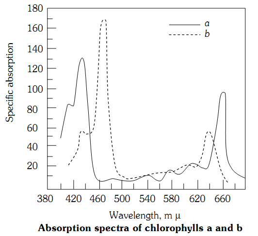 absspec.png